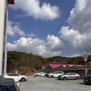 MCY PARK 공연장 | [경주]MCY PARK 내돈내산 주말방문후기(일요일 오전) 컨셉포토존 미리보기사진주의❗️