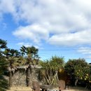 시골길펜션 2동 | 제주 감성 숙소 애월이막 2동 내돈내산 솔직후기