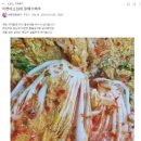 맛있는 쌈배추 15포기 19,000원 무료배송 // 부산 대저동 짶짜리 토마토 이미지