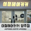 폴리프라자Ⅳ 이미지