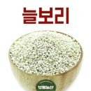 보령농산
