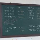 남애항정육점