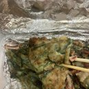 봉이동동 | 봉이동동 풍류 선술집 땡초 부추전