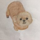 옥수수 동물병원 이미지