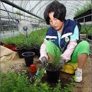 김순옥농장 이미지