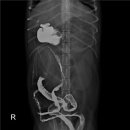 양구동물병원 이미지