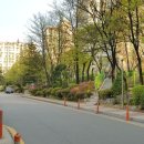 장안건영아파트.양영디지털고 이미지