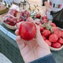 건강한 아리농장 이미지