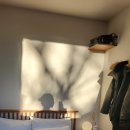 복어잡는사람들 두류점 이미지