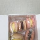 마카롱모리