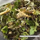 자연농원 | 수원근교에 아이와 가볼만한곳 ㅣ 안산 단원구 솔솔자연농원 체험후기🌱