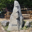 경기자동차주식회사 | 아이가 안 나오려고 버텼던 여주 체험농장, 산속애 다녀왔어요