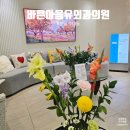 바른마음유외과의원 | 가슴멍울 유방혹 조직검사 유방초음파 바른마음유외과 맘모톰수술 입원후기