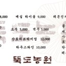 뚝도돼지