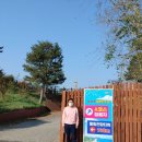 금강산공인중개사사무소 이미지