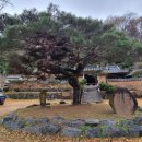팔공산왕건길 4코스 | 팔공산 올레길 4코스(평광동 왕건길)