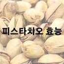 피스타치오 효능 및 효과 알아보기 이미지