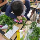 꽃으로 힐링 ** 이미지