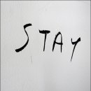 stay(스태이) 이미지