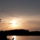 오늘도 장어 이미지