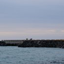 동행 in 협재 이미지