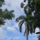 서호약국 이미지