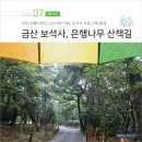 충남 금산 보석사 산책, 천년 은행나무, 고즈넉한 천년고찰 우중 풍경