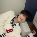 히얼퍼피 이미지