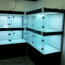 애견미용사 장윤희 | 애견미용사 장윤희 since 2001 오픈준비~