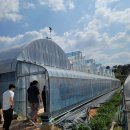 맛디아농장 이미지