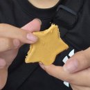 태양성인게임장 | 전주 반려견동반 실내여행코스 | 전주난장