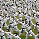 독수리태권도 이미지