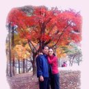대영공업(주) Daum카페