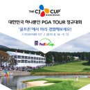 나인스크린골프 이미지