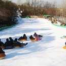 설매농장 이미지