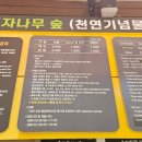 제주 곶자왈 숲길 비자림 방문전 참고사항