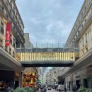 안경매니져 상인점 | CITY OF LOVE, PARIS_JAN 2024 #3