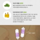 비타민도매몰