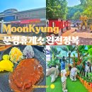 서울중부 키즈