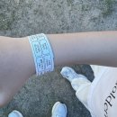 대전목장 | 2025 대전 도심속목장나들이 오픈런 후기