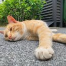 라이또 PC방 의왕본점 이미지