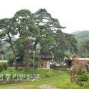 대촌2리 이미지