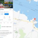 까멜리아해운주식회사 | 통영 거제 장사도해상공원 까멜리아 가는법 배편, 딱 이렇게만 하세요! (가격 위치 유람선 예약 편의시설)