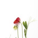 명가부동산중개사무소 이미지