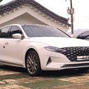 현대글로비스오토벨시화센터(시화경매장) | 생생정보 중고차 경매장