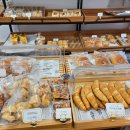 수원-0065 이미지