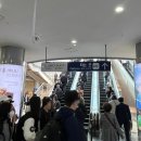 오룡떡집 | W1. 상견례 후기: 서울역 도원스타일 상견례 장소 추천