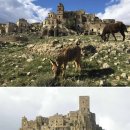 중단1리경로당 이미지