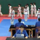 경희대 미래 태권도장 이미지