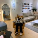 라이프시스 이미지